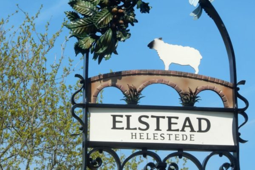 Elstead Village Fete